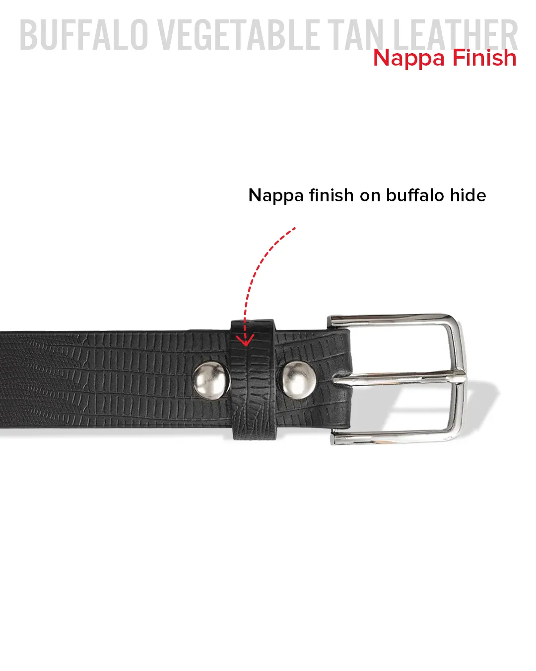 2869-lizard-belt-4.webp Lizard Belt